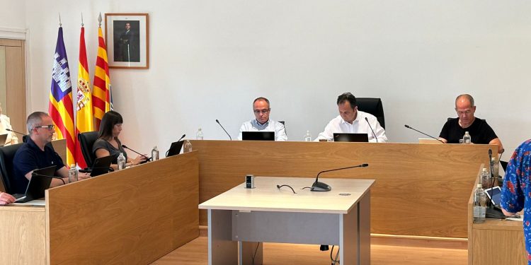 Imagen de la sesión plenaria celebrada hoy. Foto: Consell Insular de Formentera