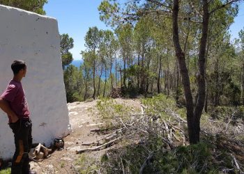 Imagen de una faja de protección en la zona de sa Creu d'en Ribes