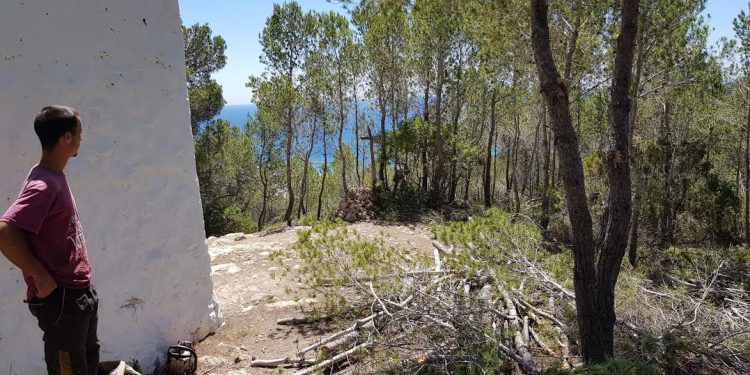 Imagen de una faja de protección en la zona de sa Creu d'en Ribes