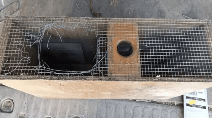 Una trampa para serpientes vandalizada, en esta imagen del Ayuntamiento de Sant Josep.