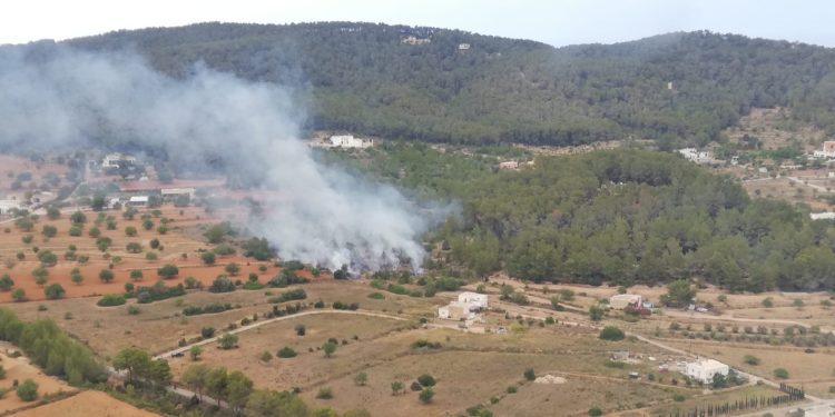 Imagen del área afectada. Foto @AgriculturaGOIB