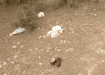 Excrementos humanos por toda la zona, algunos tapados con pañuelos de papel o servilletas y otros a la vista.