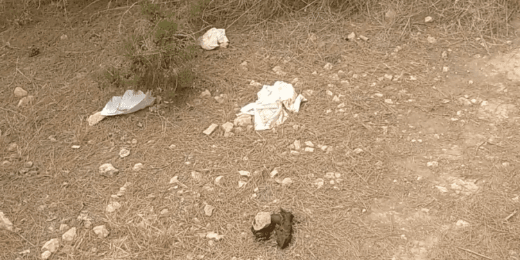 Excrementos humanos por toda la zona, algunos tapados con pañuelos de papel o servilletas y otros a la vista.