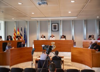 Un momento del debate de política general. Foto: Consell de Ibiza