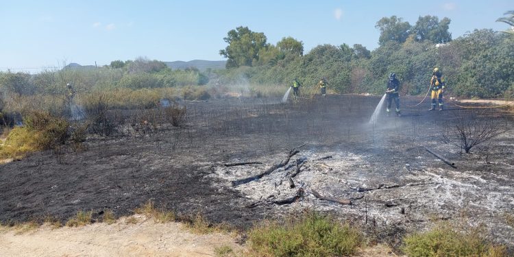 Intervención de bomberos y agentes del Ibanat para sofocar las llamas. Fotos: Bombers d'Eivissa