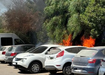 Las llamas han afectado a los vehículos y a la vegetación. Foto: Bombers d'Eivsisa