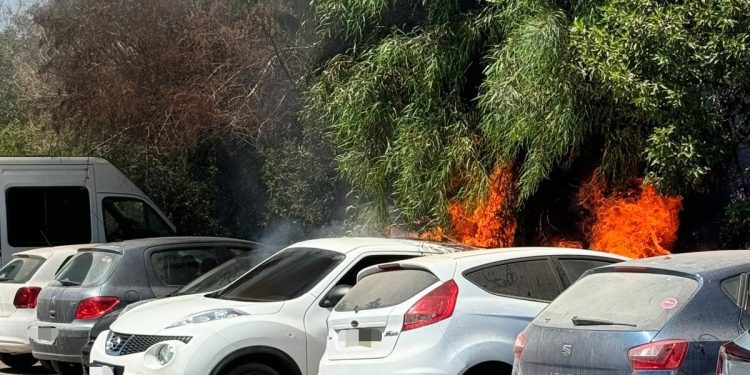 Las llamas han afectado a los vehículos y a la vegetación. Foto: Bombers d'Eivsisa