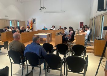 Sesión plenaria. Foto: Consell Insular de Formentera