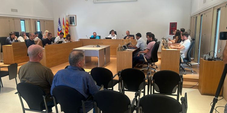 Sesión plenaria. Foto: Consell Insular de Formentera