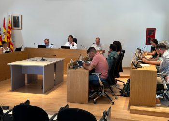 Sesión plenaria celebrada hoy. Foto: Consell Insular de Formentera