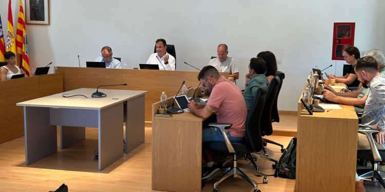Sesión plenaria celebrada hoy. Foto: Consell Insular de Formentera