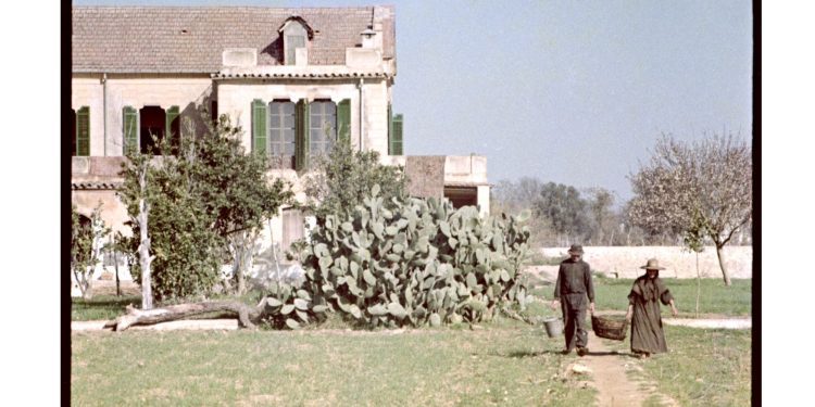 S'Hort Petit o Can Menut. Autor Per Lund