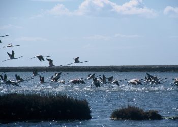 Parque Natural de ses Salines de Ibiza.