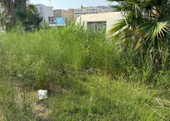 Estado del camino. Fotos: PSOE de Ibiza