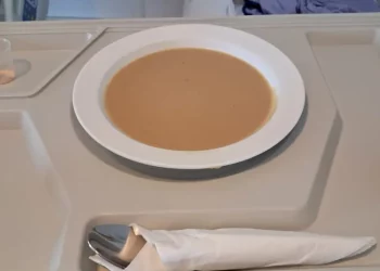 Un plato de puré de pescado de bote servido como plato único de cena, tal y como denunciaron familiares de la persona residente hace solo unos días. Foto Laura Serra
