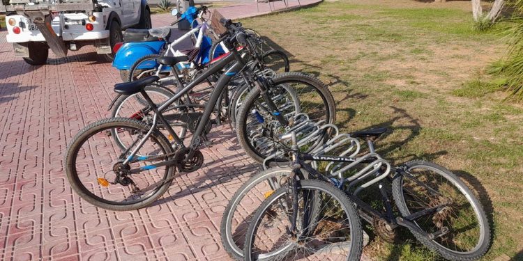 Algunas están en bastante buen estado mientras que otras se retiran definitivamente porque están destrozadas.