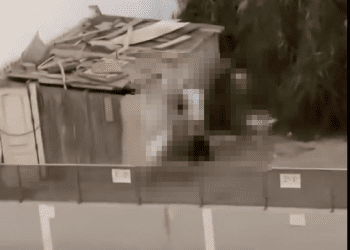 Captura del vídeo subido a redes en el perfil @BenTruman8 con la imagen central pixelada