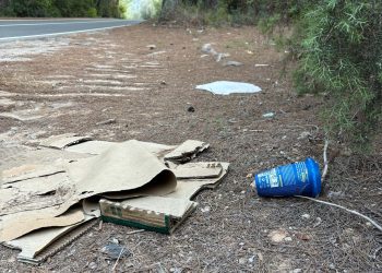 Basura en el margen de la carretera. Foto: PSOE de Santa Eulària