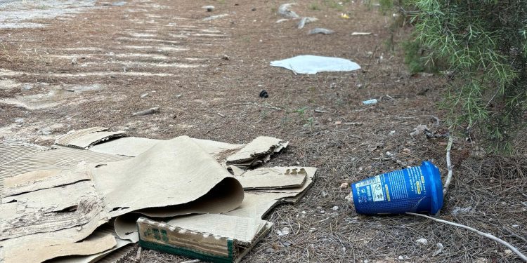 Basura en el margen de la carretera. Foto: PSOE de Santa Eulària