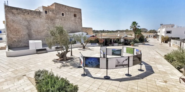 Imagen de Sant Francesc. Foto: MARE