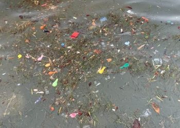 Restos de globos para consumir gas de la risa en la bahía de Sant Antoni, en una imagen de P. J. González cedida a Noudiari