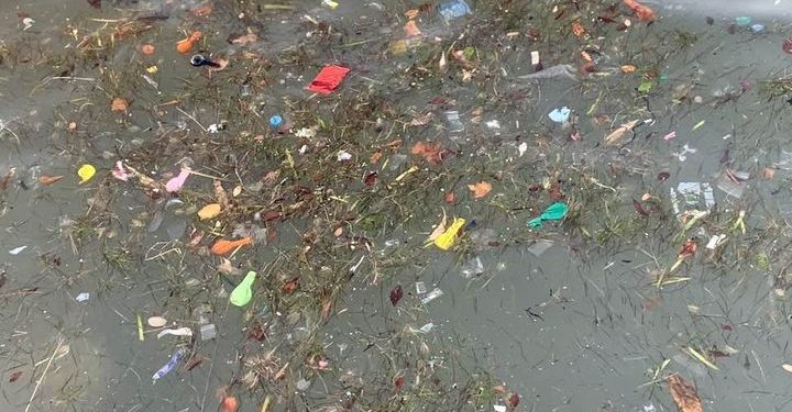 Restos de globos para consumir gas de la risa en la bahía de Sant Antoni, en una imagen de P. J. González cedida a Noudiari