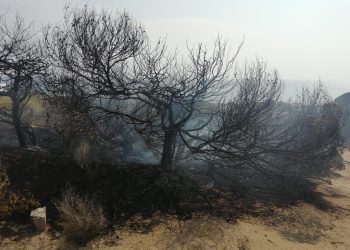 Imagen del incendio, ya controlado, compartida por el Ibanat.