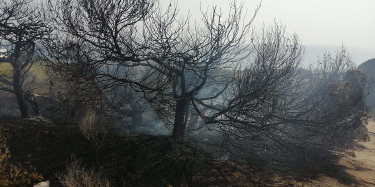Imagen del incendio, ya controlado, compartida por el Ibanat.
