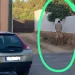 Un hombre orinando en el muro de un vecino de la zona del 528.