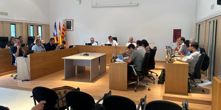 Pleno celebrado hoy. Foto: Consell Insular de Formentera