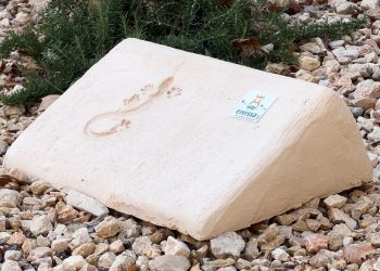 Uno de los refugios instalados por el Ayuntamiento de Ibiza,