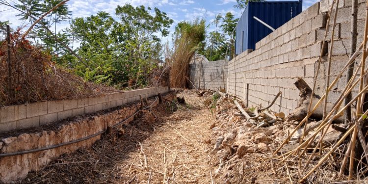 Estado de los caminos y canales. Fotos: Ayuntamiento de Santa Eulària