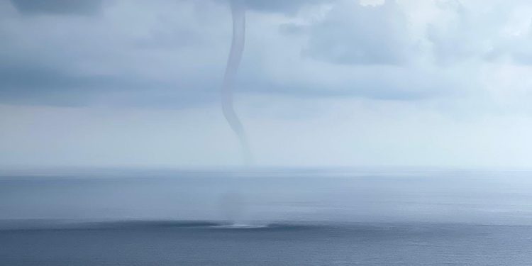 Cap de fibló captado por Mariano Castelló en la costa de Formentera ayer martes. Cedida a Noudiari