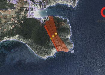 Las parcelas rústicas a subasta en Cala Llonga, Santa Eulària, en una imagen del portal Escrapalia.
