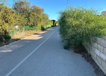 Carrer de Salamanca de Sant Josep invadido de vegetación en una fotografía de denuncia enviada hoy por una lectora a Noudiari.