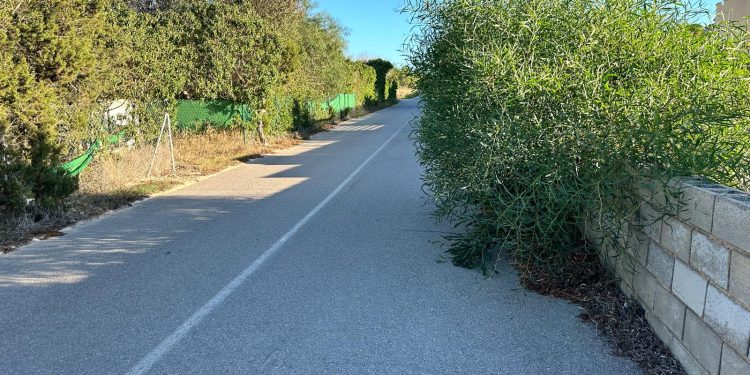 Carrer de Salamanca de Sant Josep invadido de vegetación en una fotografía de denuncia enviada hoy por una lectora a Noudiari.
