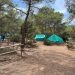 Campamento de Cala Jondal. Fotos: Consell de Ibiza