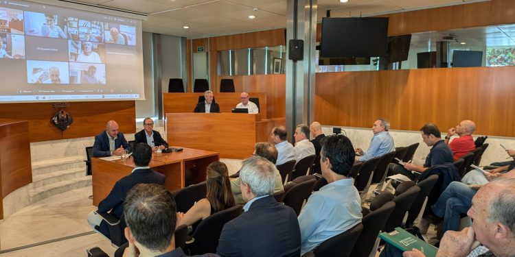 Junta Insular de Aguas de Ibiza celebrada en el Consell de Ibiza. Foto: Govern balear