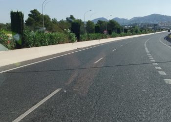 Vegetación en la mediana de la E-20.