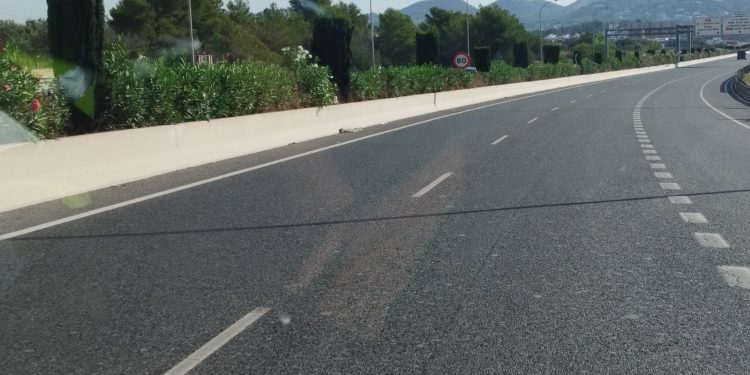 Vegetación en la mediana de la E-20.