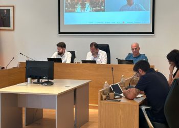 Pleno extraordinario, celebrado hoy. Foto: Consell Insular de Formentera