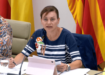 La diputada popular Sandra Palau, en la Comisión de Salud. Foto: PP de Ibiza