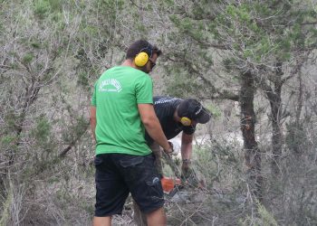 Reinicio de los trabajos en Punta Galera. Fotos: Ayuntamiento de Sant Antoni