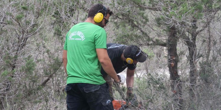 Reinicio de los trabajos en Punta Galera. Fotos: Ayuntamiento de Sant Antoni