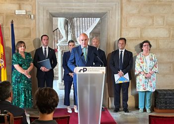 Vicent Marí, ayer durante su comparecencia en el Consell de Presidentes para hablar de migración.
