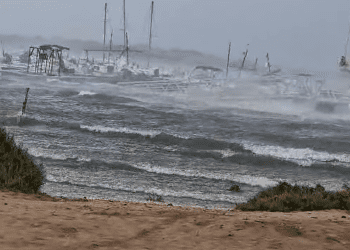 Estany des Peix de Formentera afectado por la DANA, en un vídeo de Paco Mayans cedido por RàdioIlla.