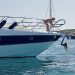 Posidonia en el ancla de una embarcación. Foto: Govern balear