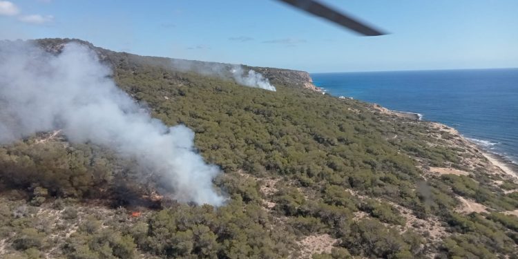 Lugar del incendio. Foto: Conselleria de Medio Natural
