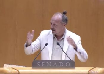 Juanjo Ferrer, en una intervención en el Senado. Foto: Eivissa i Formentera al Senat