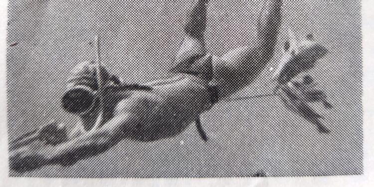 Punxa la imatge per veure-la sencera i llegir el peu de foto original